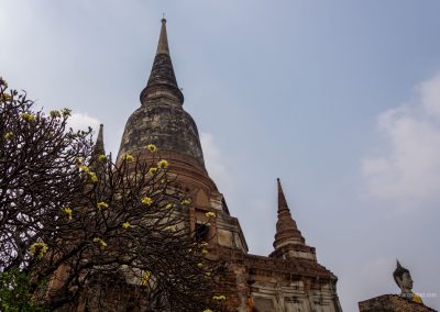 Tempel in Ayutthaya in Thailand